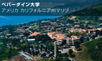 ペパーダイン大学
（アメリカ　
カリフォルニア州マリブ）
